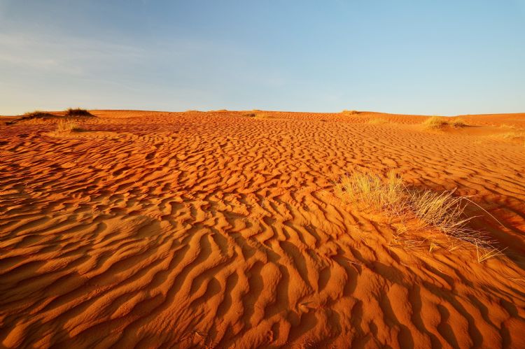 Wahiba Sands à Oman