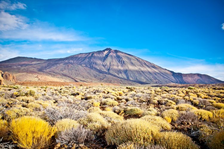 Le Teide sur Tenerife