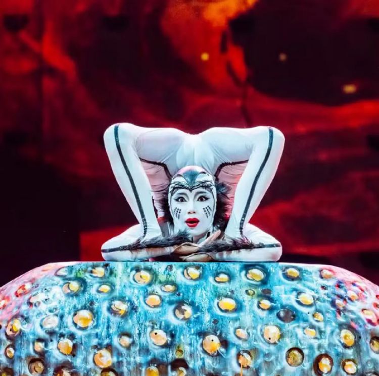 "OVO" par le Cirque du Soleil