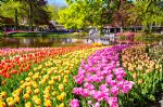 Le parc de Keukenhof Le parc de Keukenhof